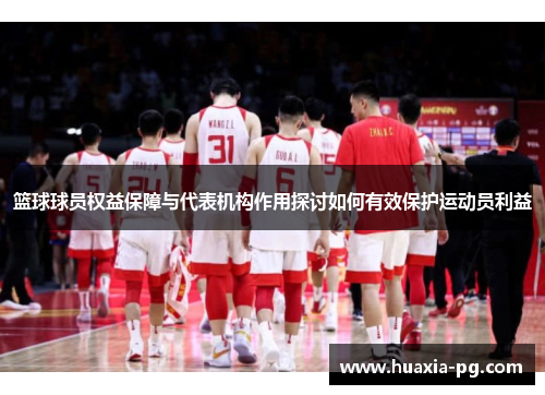 篮球球员权益保障与代表机构作用探讨如何有效保护运动员利益