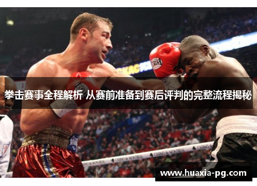拳击赛事全程解析 从赛前准备到赛后评判的完整流程揭秘