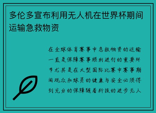 多伦多宣布利用无人机在世界杯期间运输急救物资